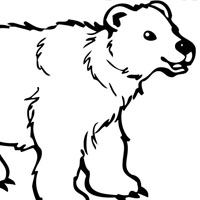 Bear coloring page