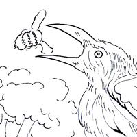 bee eater picture
