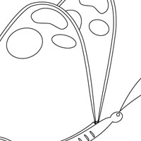 Butterfly coloring page