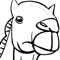 Camel coloring page