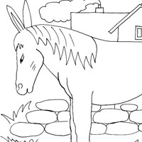 Horse coloring page