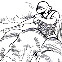 War elephant coloring page