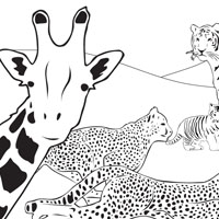 Day 5 Creation Animals
