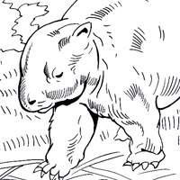Diprotodon dinosaur coloring book