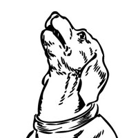 Dog coloring page