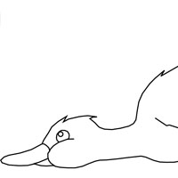 Ducks coloring page