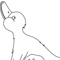 Duck coloring page