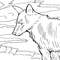 fox coloring pic