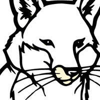 Fox coloring page