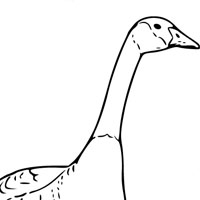 Goose coloring page