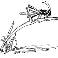 Kids coloring page