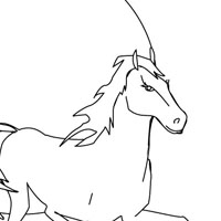 Horses coloring page