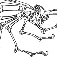 Childrens coloring page