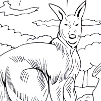 kangaroo page for kids