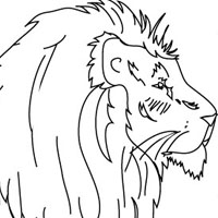 Lion coloring page