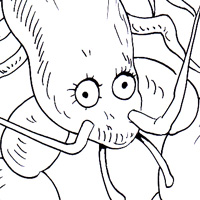 lobster picture