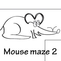 mice maze