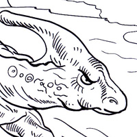 Parasaurolophus dinosaur coloring page