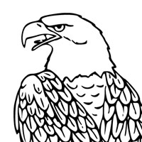 Bald eagle coloring page