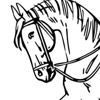 Horse coloring page