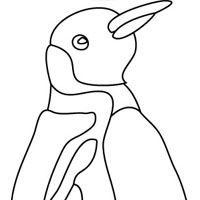 Penguin coloring page