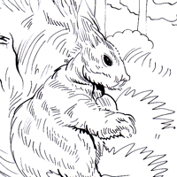 rabbit cute picture