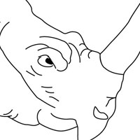 Rhino coloring page