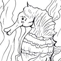 seahorse coloring design