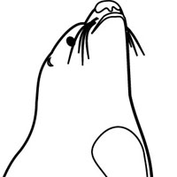 Sealion coloring page