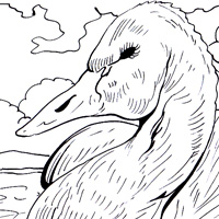 swan page for kids