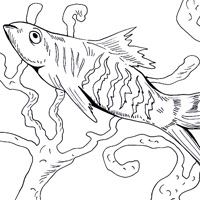 swordtail picture