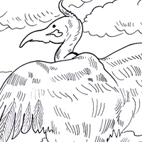 vulture picture