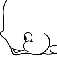 Whale coloring page