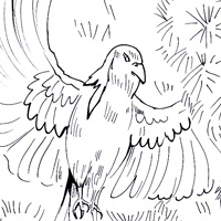 whydah coloring page