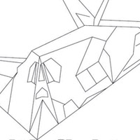 stealth fighter plane picture