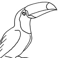 tucans page