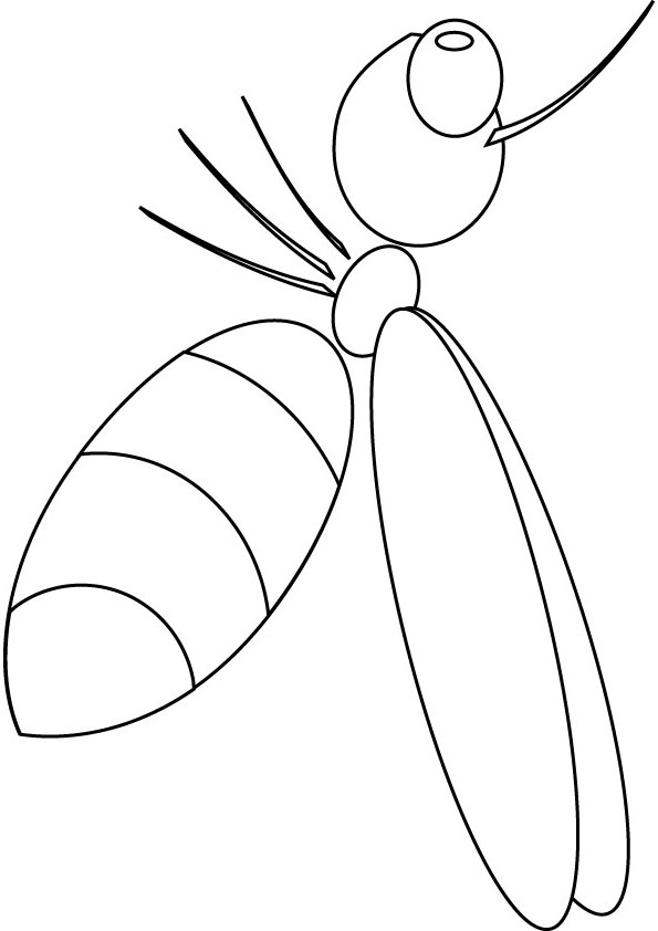 zippy bee coloring picture