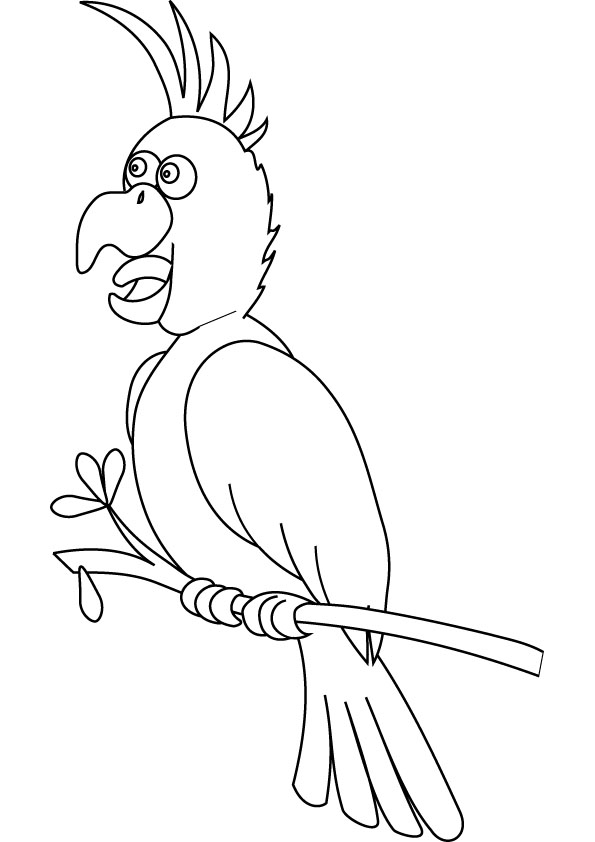 parrot coloring picture