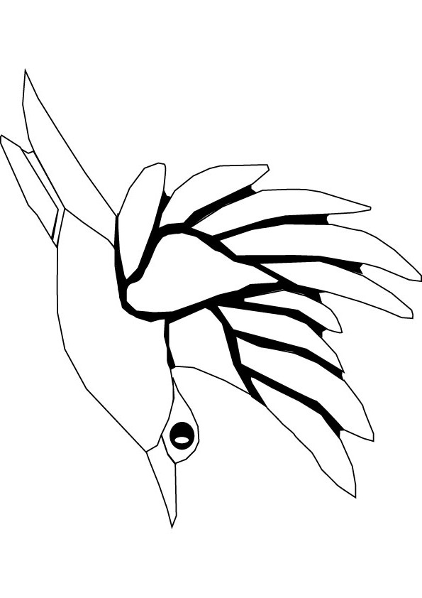 humming birds coloring picture