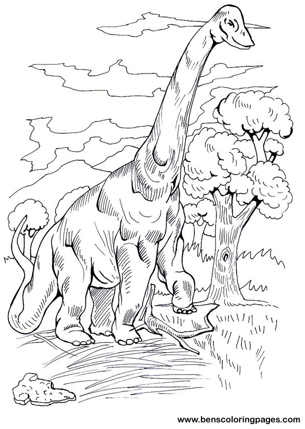 brachiosaurus dinosaurs for kids