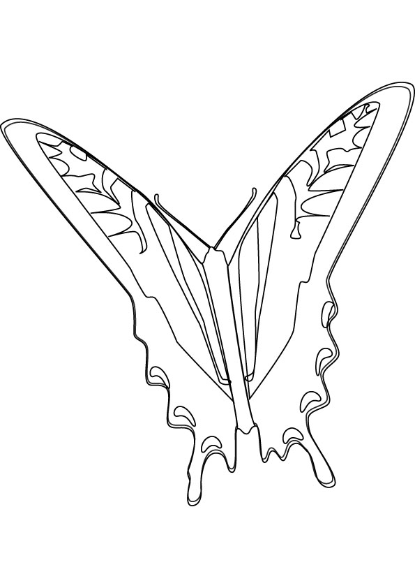 butterfly coloring picture