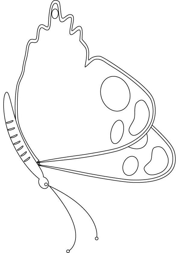 butterfly coloring picture