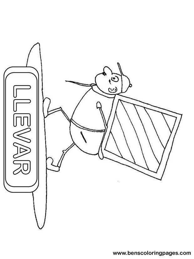 llevar picture