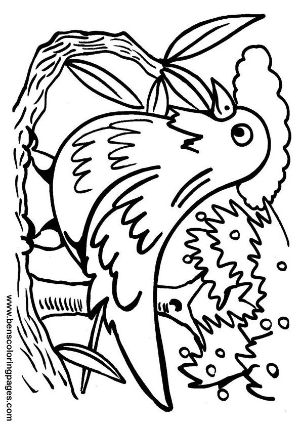 Printable cartoon bird children coloring sheet