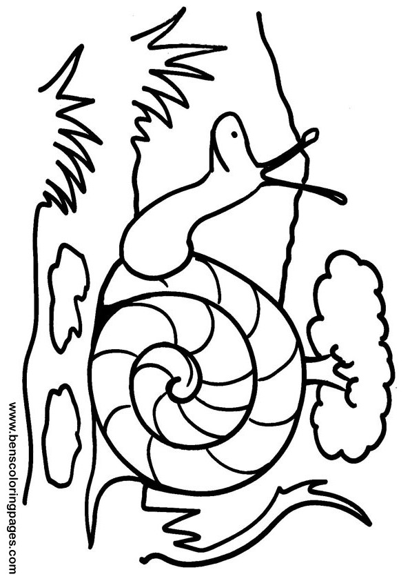 Printable snail coloring sheet