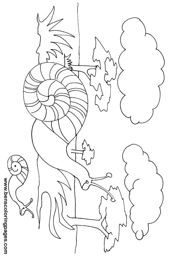 Snails coloring sheet