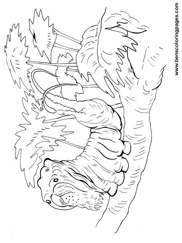 caterpillar coloring picture print