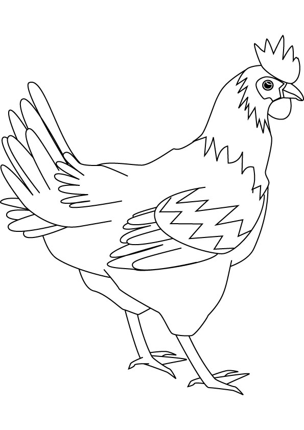 hen coloring picture for free