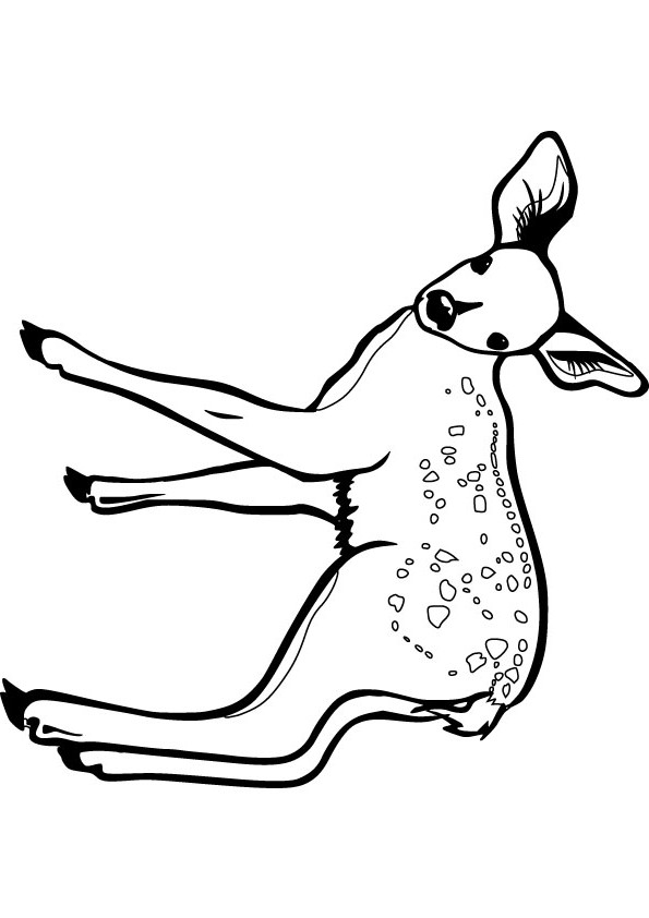 download free bambi drawing page