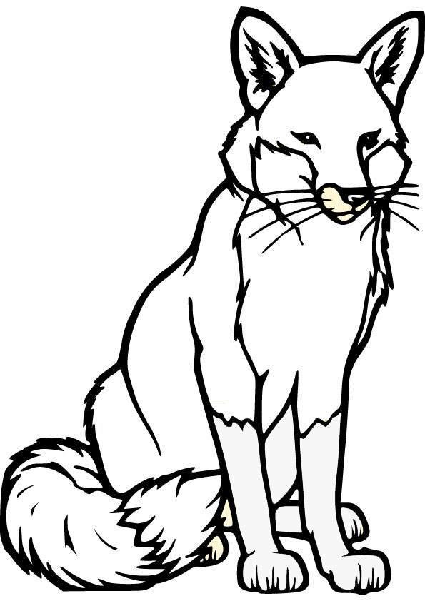 download free fox drawing page